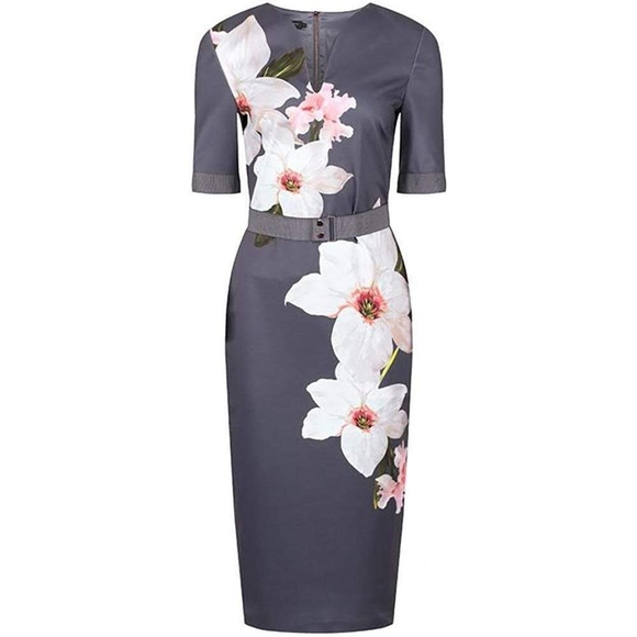 Ted Baker NWT Bisslee Chatsworth Floral Bloom Bodycon Dress Size 2 - Picture 3 of 11